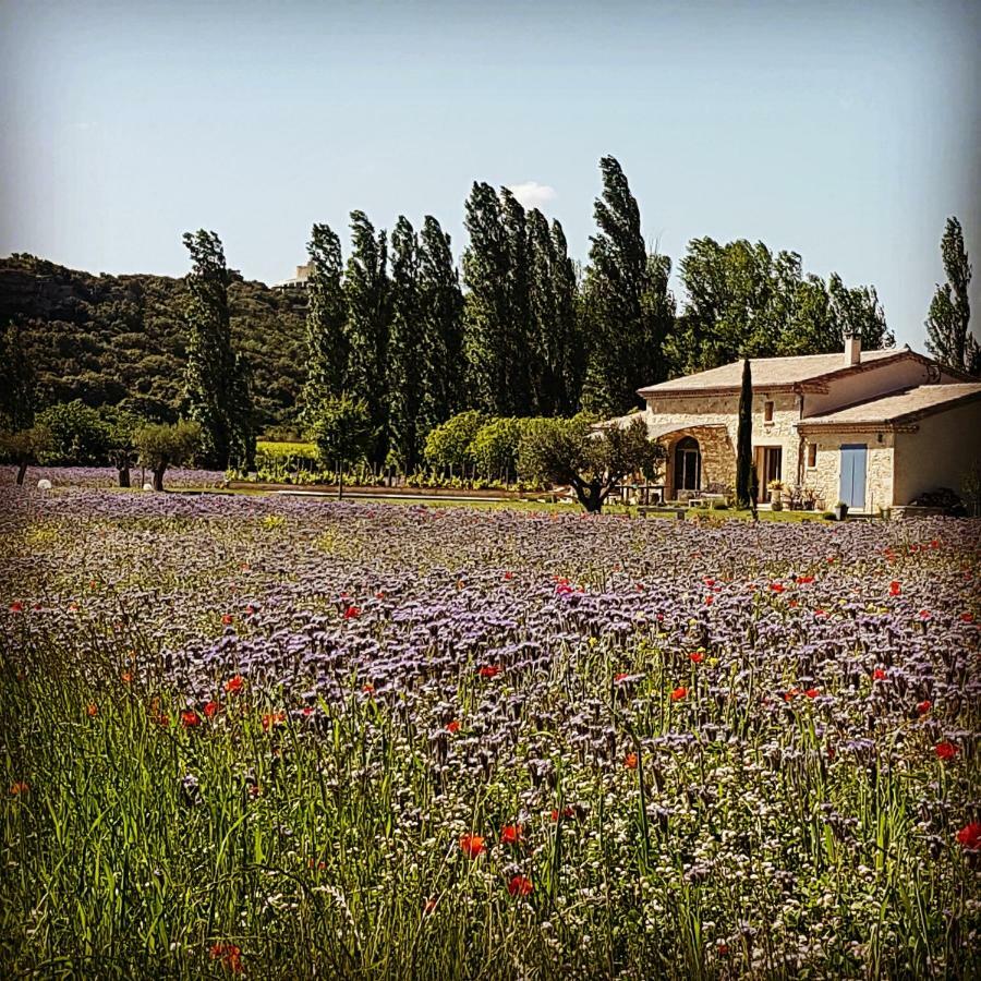 Fontaine de Cérier Bed and Breakfast Castillon-du-Gard Esterno foto